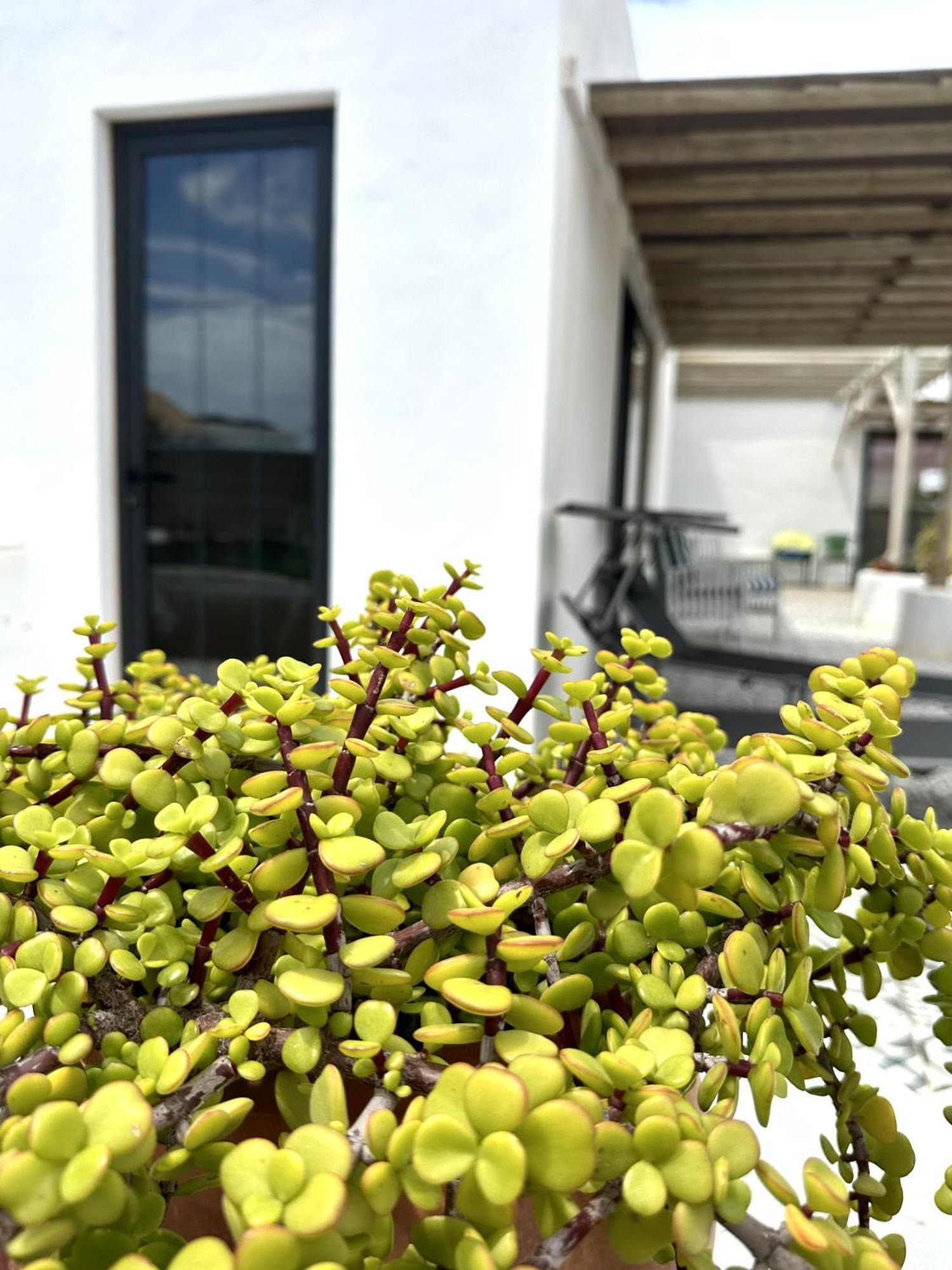 Casita Tiare Lajares Apartment Exterior foto
