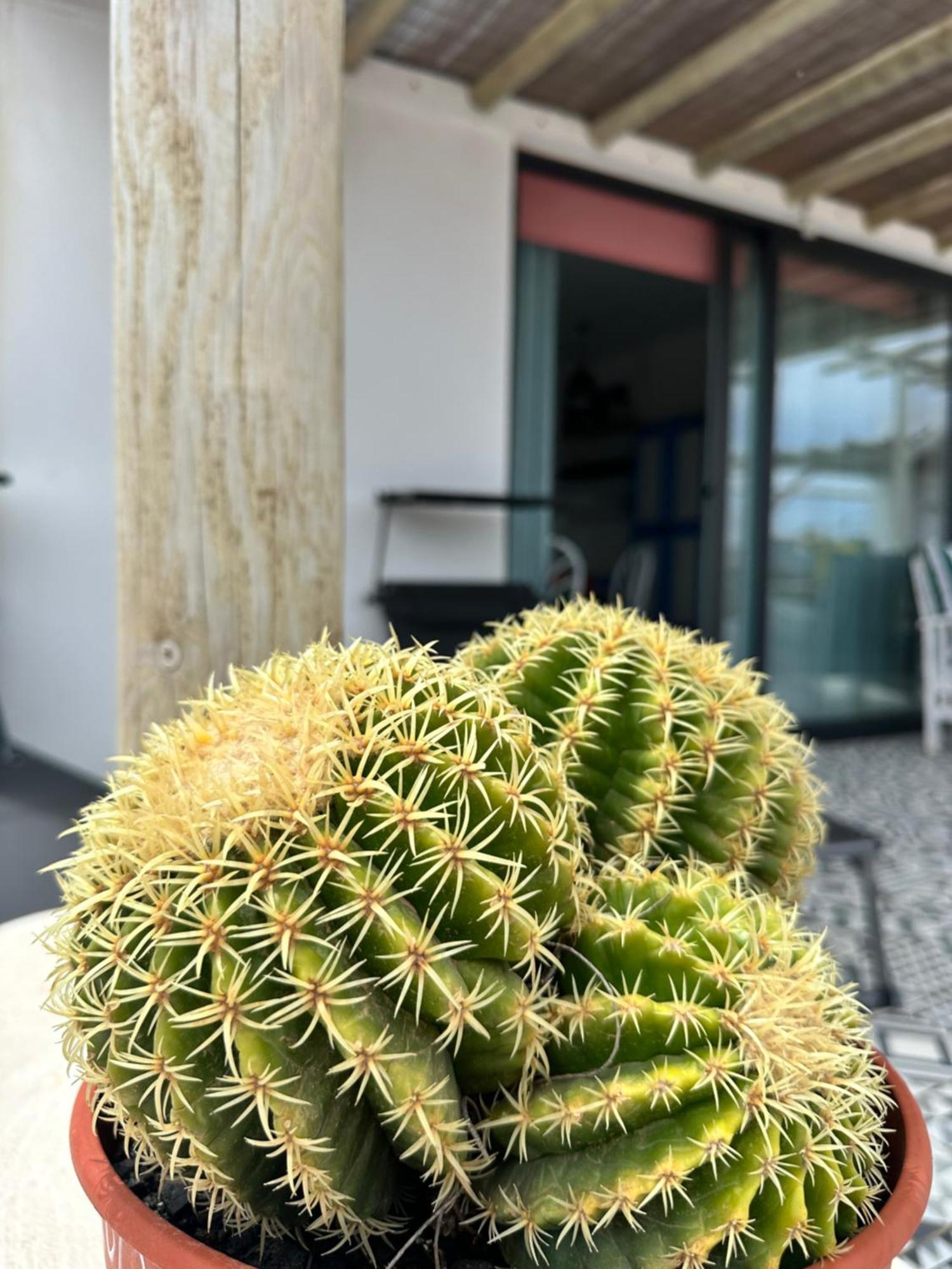 Casita Tiare Lajares Apartment Exterior foto
